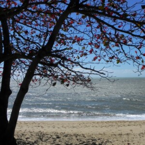 Trinity beach view