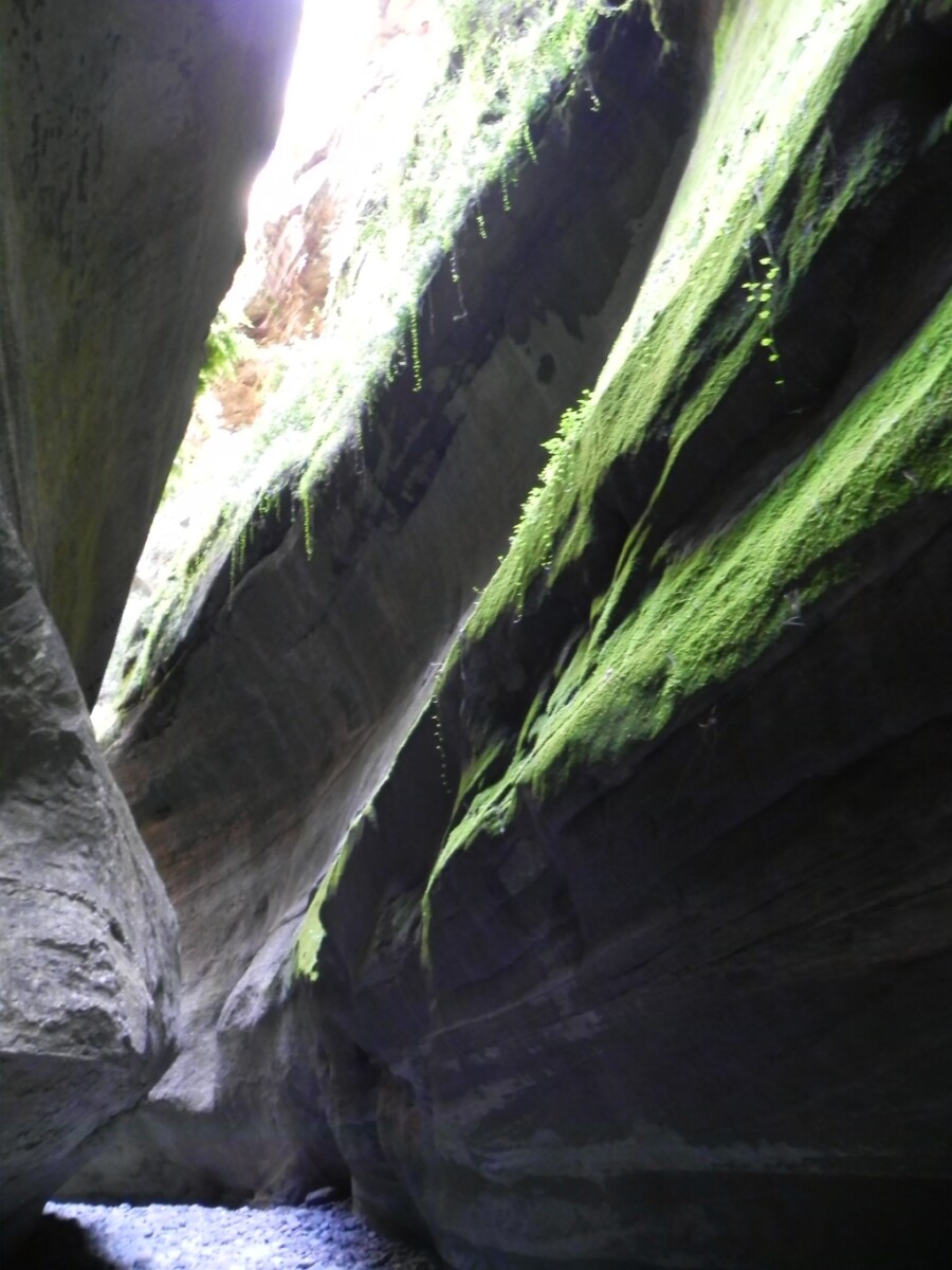 Carnarvon Gorge