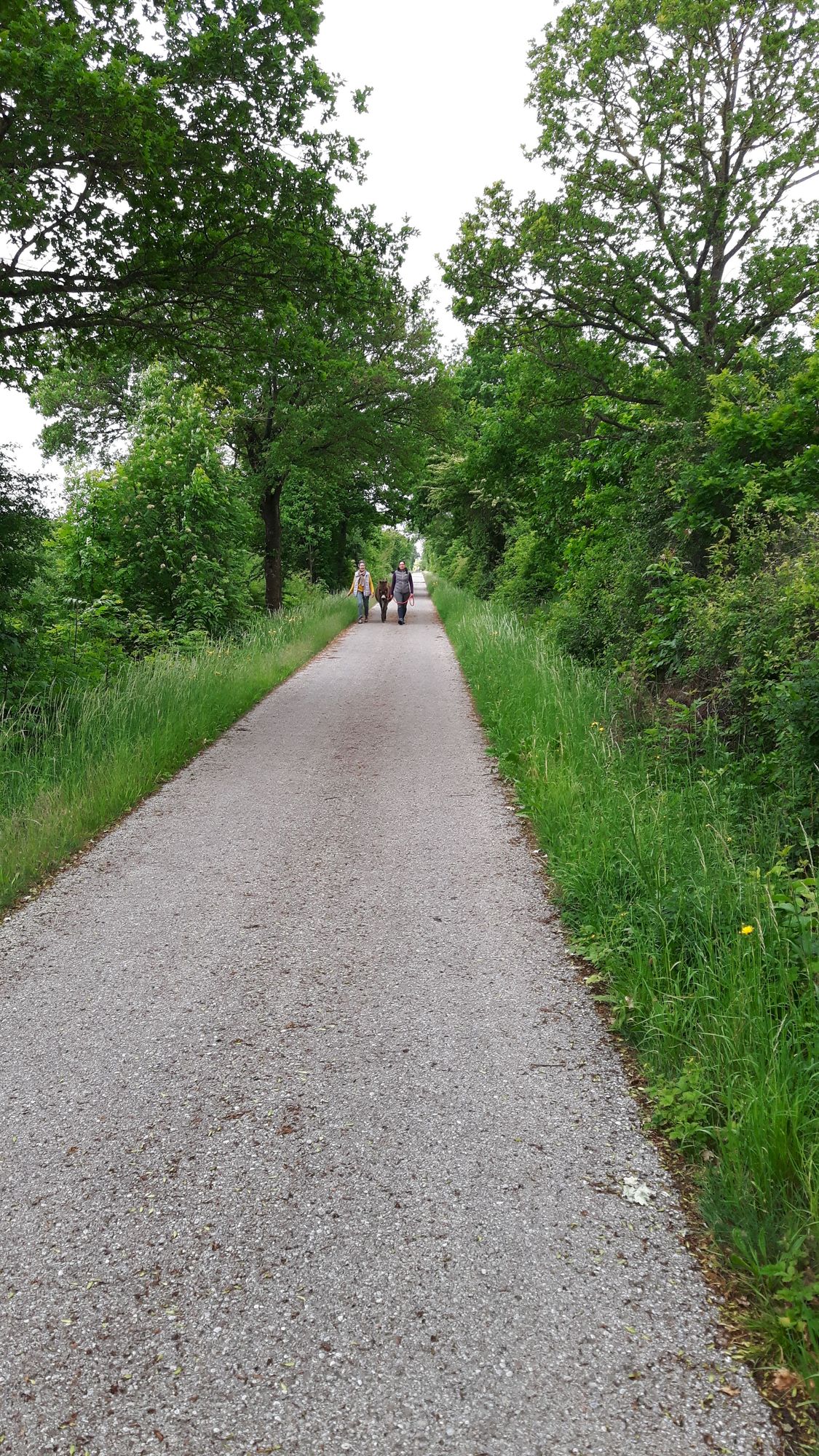 Radweg auf ehemaliger Bahntrasse