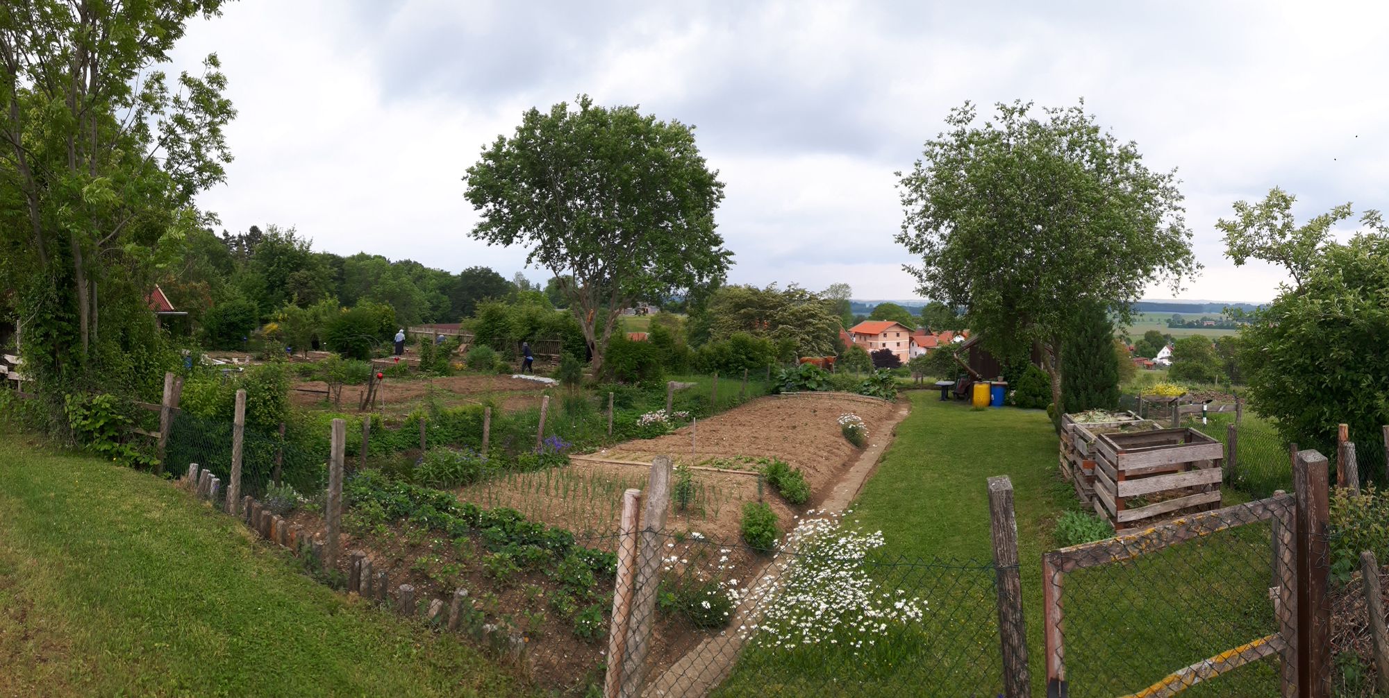 Schrebergarten auf Kuppe