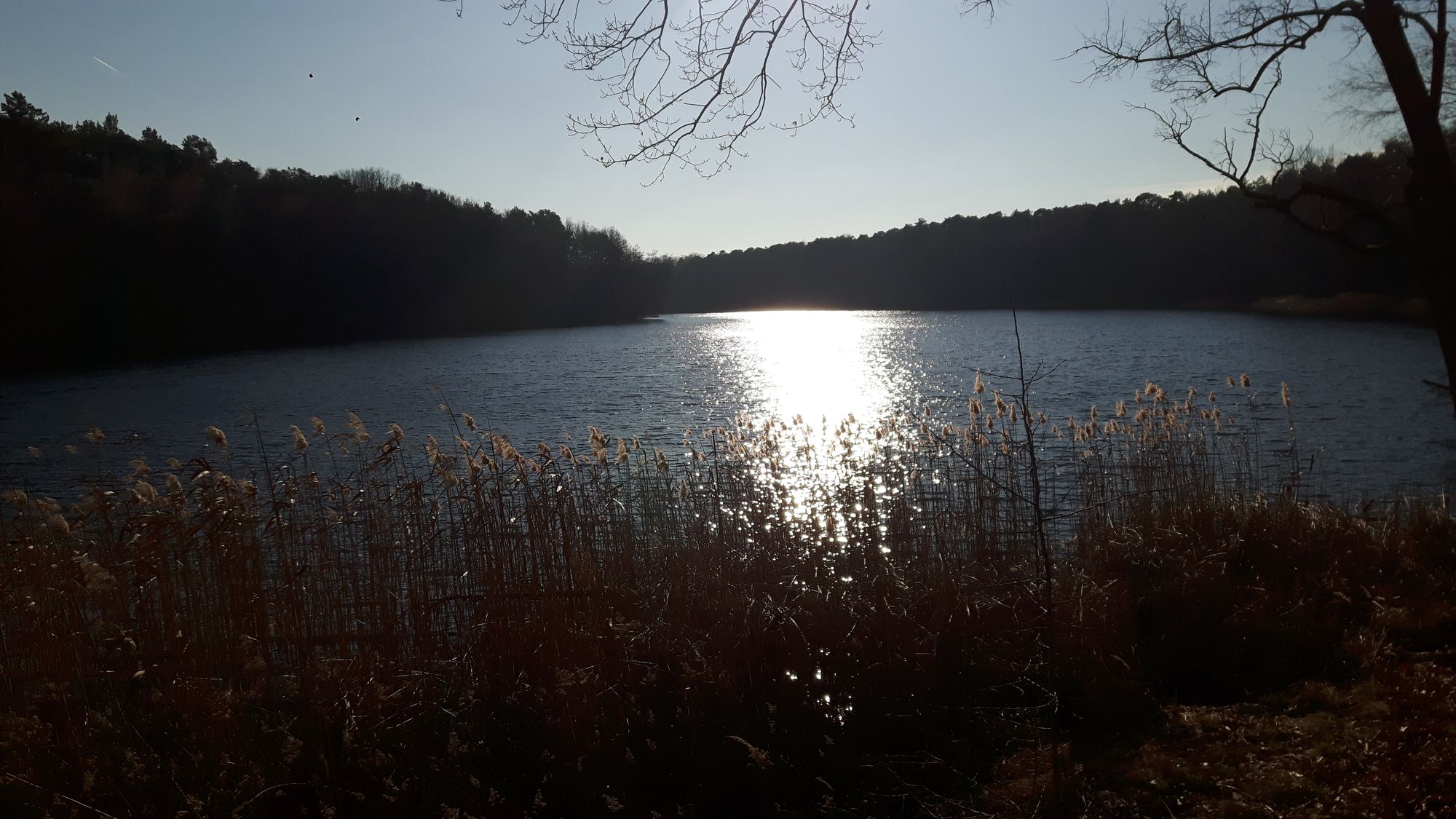 Krumme Lanke im Gegenlicht