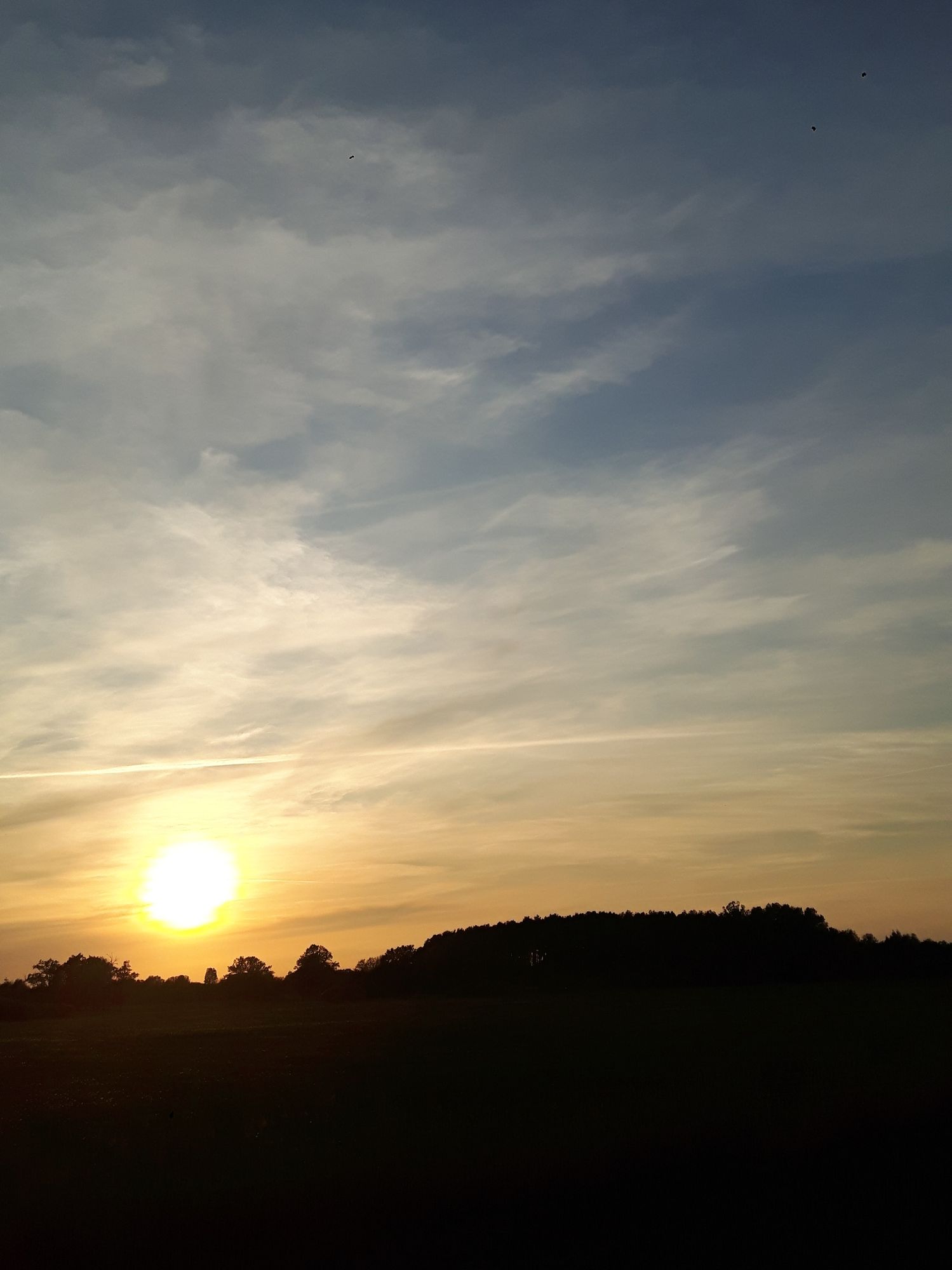 Spreewald Sonnenuntergang