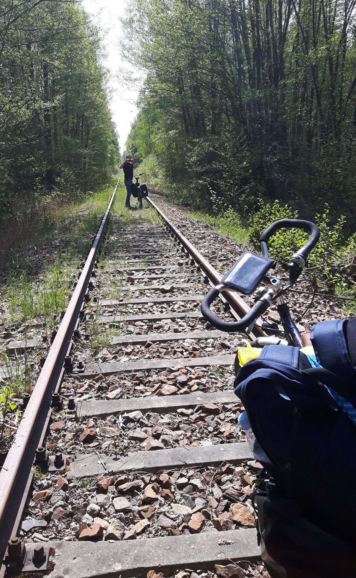 Spreewald Abwege auf Gleisen
