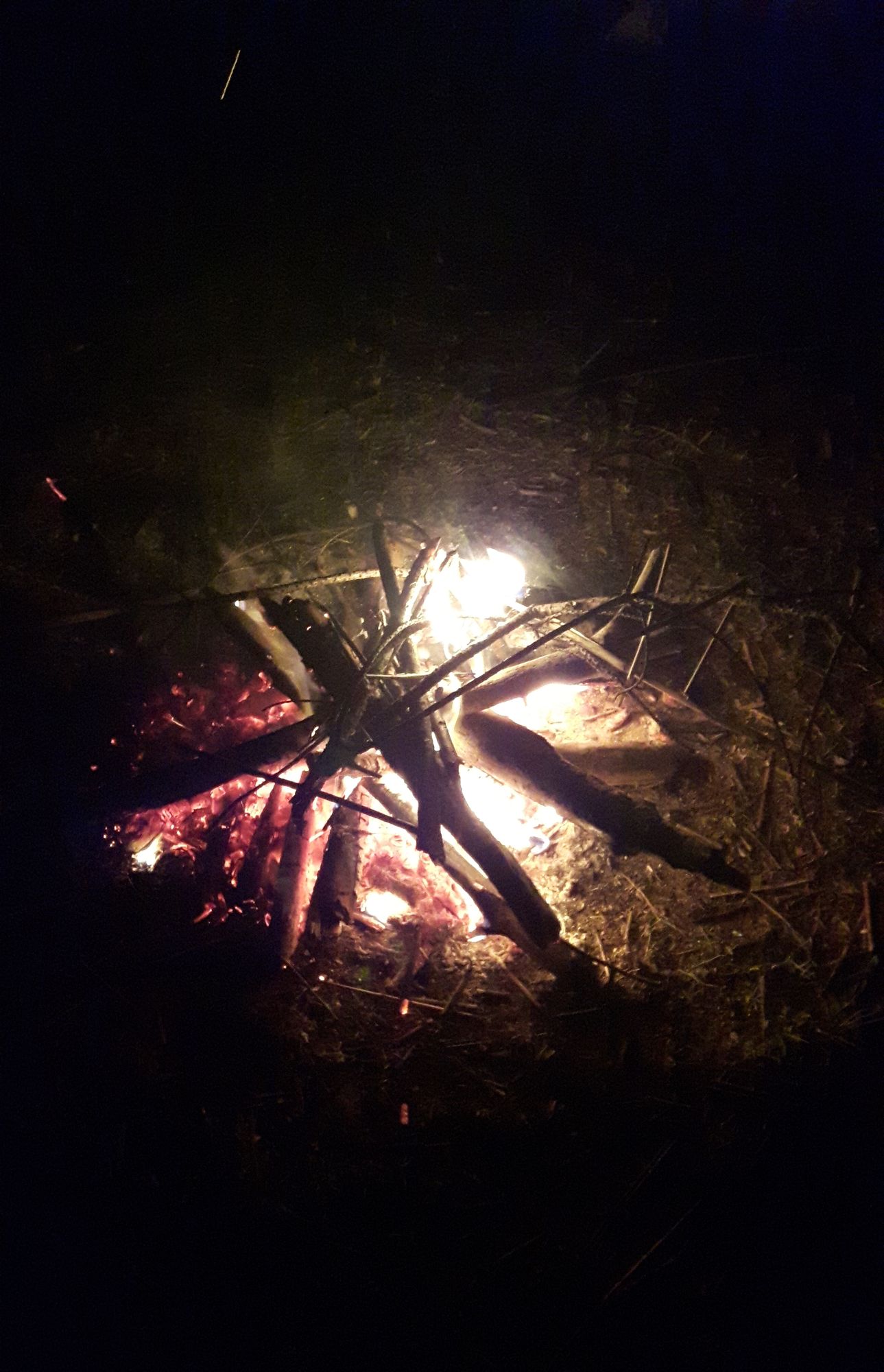 Das Feuerchen am Bernsteinsee