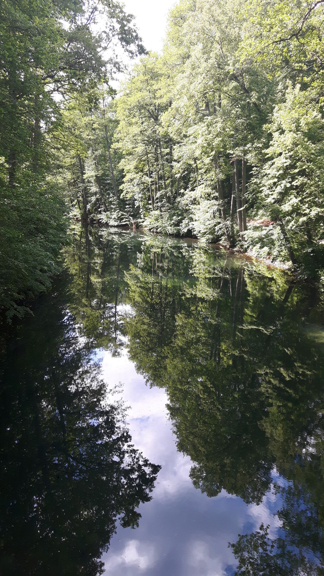 Kleiner Kanal mit spiegelnden Bäumen