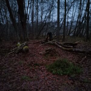 Am Lagerplatz an der Dahme Holz machen