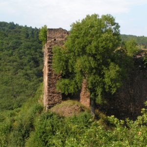 Burg Eltz Muenstermaifeld