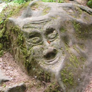 Eifel Stein mit Gesicht