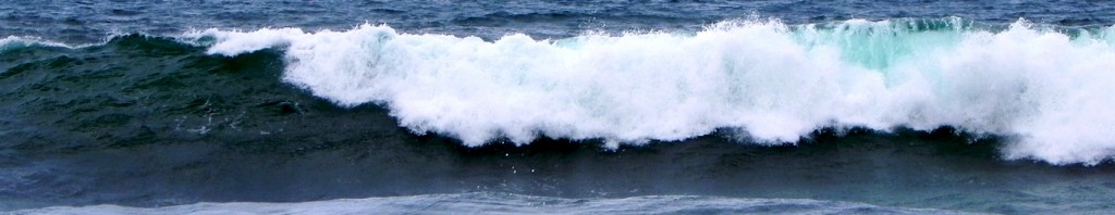 Waves breaking in the surf