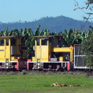 Sugar cane train in action