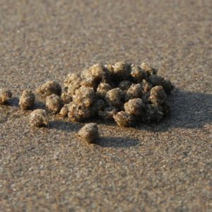 Creb sand balls