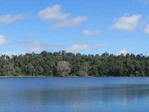 Lake Eacham Panorama