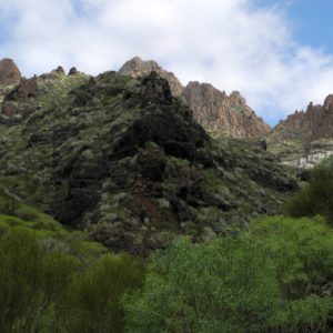 Grüne Sträucher und braune Felsenspitzen im Barranco Seco