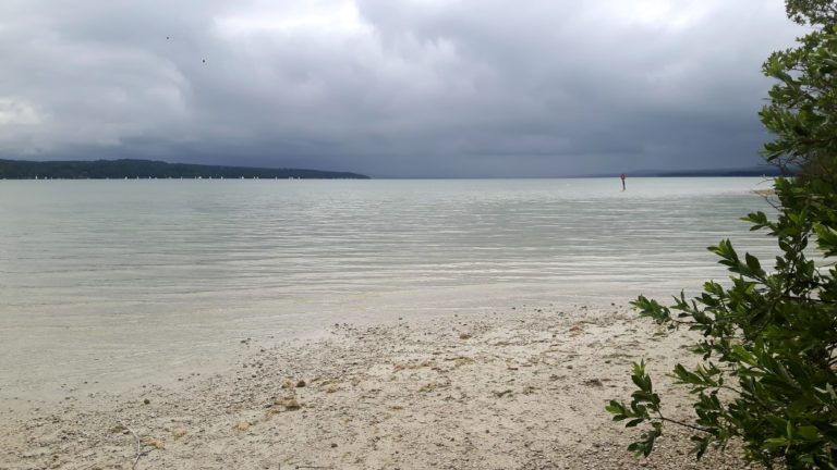 2017 07 Spaziergang Ostufer Ammersee Bayern