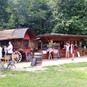 Café Kiosk Kuchen Toiletten im Park auf der Pfaueninsel