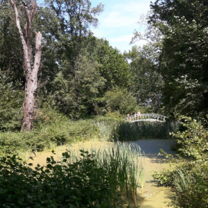 Blick im Park über Teich zur Brücke auf der Pfaueninsel