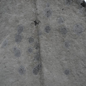 Typisch irisches Zeichen auf altem Muster durch Flechten auf Grabstein Kirche Castlegregory Küstenspaziergang