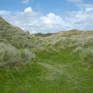 Gras bewachsene Dünen auf Castlegregory