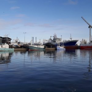 Blick mit Schiffen im Hafen von Skagen