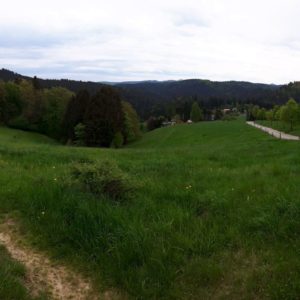 Panoramblick über Hinterhermsdorf