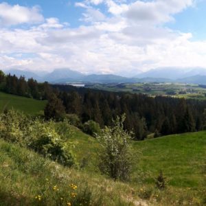 Panorama Blick Alpe Beichelstein