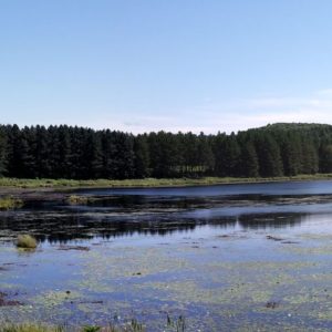 Panorama Lac Renauld