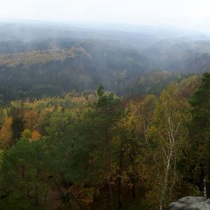 Panorama mit bewaldeten Felsen im Regen