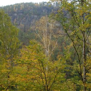 Ausblick Herbstlaub und Felsen