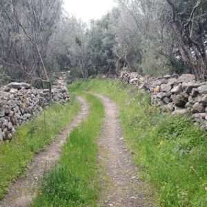 Weg zwischen Trockensteinmauern - The Old Farm Asfodeli Sardinien