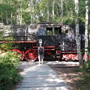 Dampflokomotive im Park Südgelände