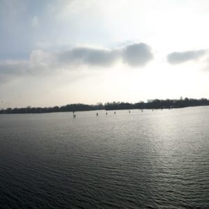 Panoramablick über die Havel Richtung Spandau