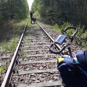 Spreewald Abwege auf Gleisen
