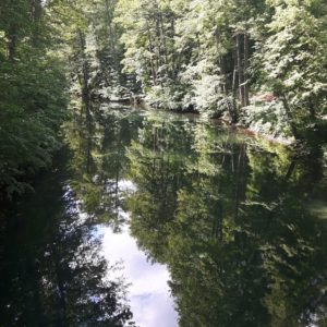 Kleiner Kanal mit spiegelnden Bäumen