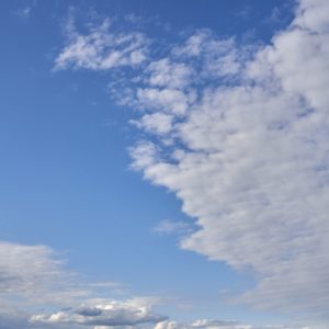 Kite Fun auf dem Tempelhofer Feld bei strahlender Sonne und leichtem Nordwind