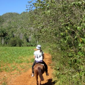Kuba Vinales reiten Pferde Dani