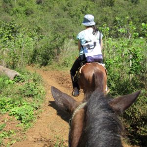 Kuba Vinales reiten Pferde Dani
