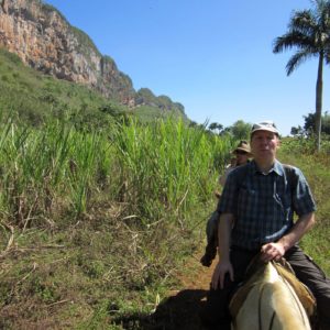 Kuba Vinales reiten Pferd Konrad