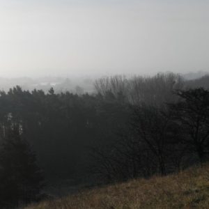 Unteres Odertal Panorama Oder früh Morgens