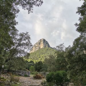 Vorgipfel des Puig Massanella
