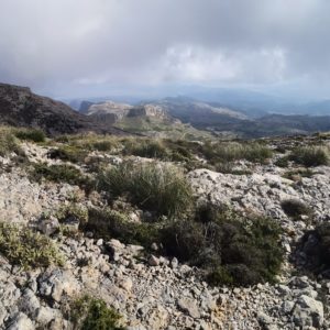 Panoramablick vom Puig Tomir