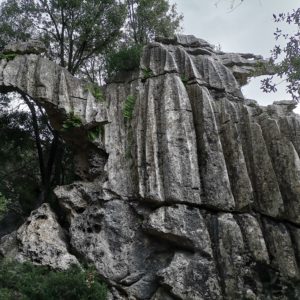 Vom Regenwasser „zerschnittene“ Kalksteine Karst