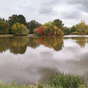 Teich im Schlosspark Fürstlich-Drehna