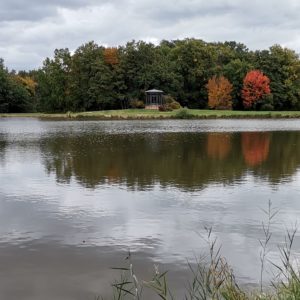 Blick über den Teich im Schlosspark Fürstlich-Drehna zum Pavillon