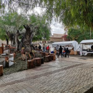 Oliven Herbstmarkt in Caimari
