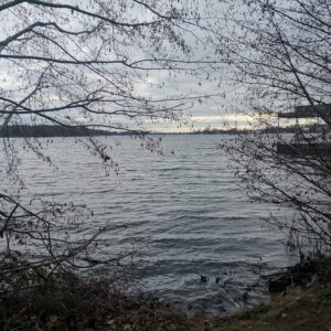 Blick auf den See in Neuruppin