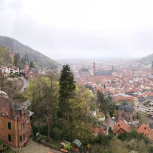 Blick auf Heidelberg im Dunst