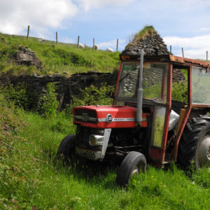 Ein roter Traktor in grüner Wiese