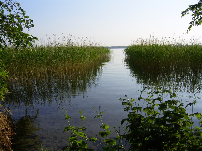 2003 baden am Parsteiner See in Brandenburg