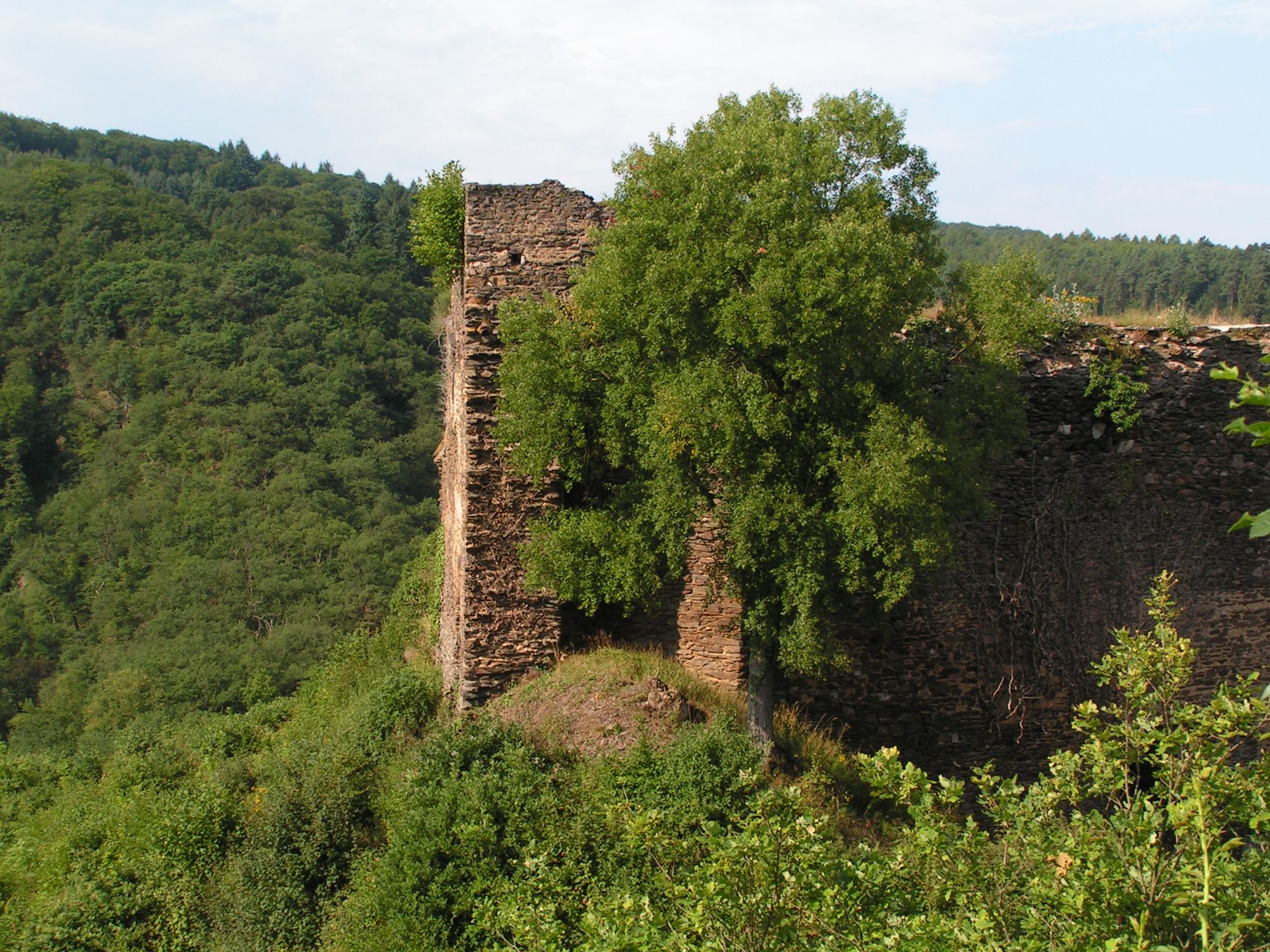 Burg Eltz Muenstermaifeld