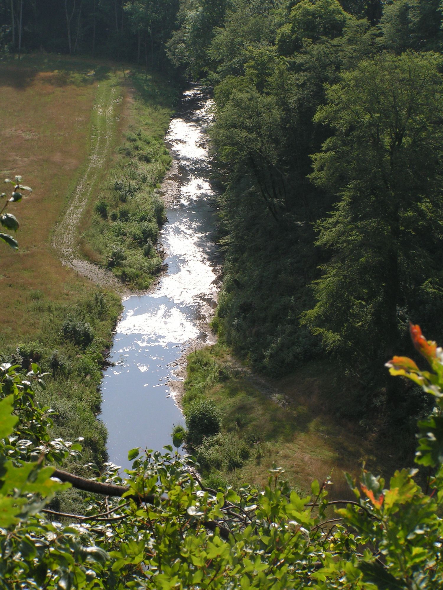 Blick von der Burg Eltz Muenstermaifeld zum Fluss